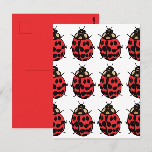 lieveheersbeestje Rood Zwart Insect lieveheersbees Briefkaart (Voorkant / Achterkant)