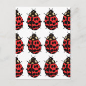 lieveheersbeestje Rood Zwart Insect lieveheersbees Briefkaart (Voorkant)