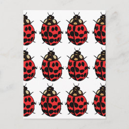 lieveheersbeestje Rood Zwart Insect lieveheersbees Briefkaart