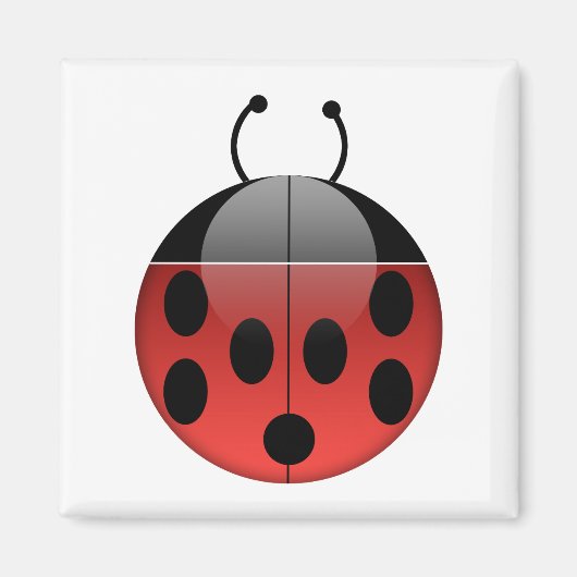 Lieveheersbeestje serie 1 vierkante magneet (Voorkant)