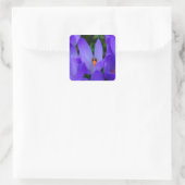 Lieveheersbeestje Sticker (Tas)