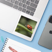 lieveheersbeestje sticker (Laptop met iPhone)