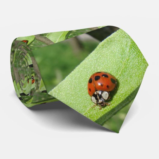 Lieveheersbeestje Stropdas (Opgerold)