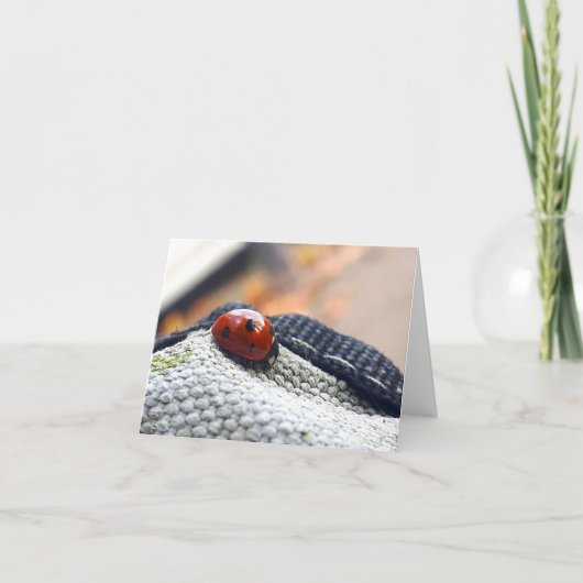 Lieveheersbeestje symbool tegen geweld. bedankkaart (Voorkant)