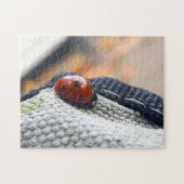 Lieveheersbeestje symbool tegen geweld. legpuzzel (Horizontaal)