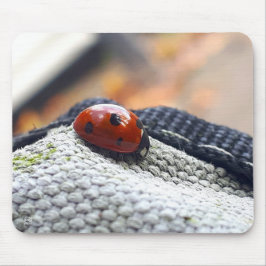 Lieveheersbeestje symbool tegen geweld. muismat