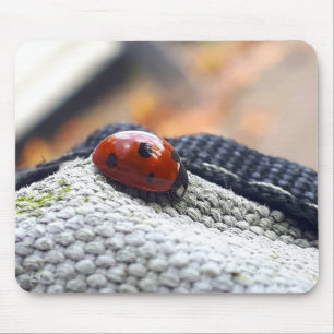 Lieveheersbeestje symbool tegen geweld. muismat