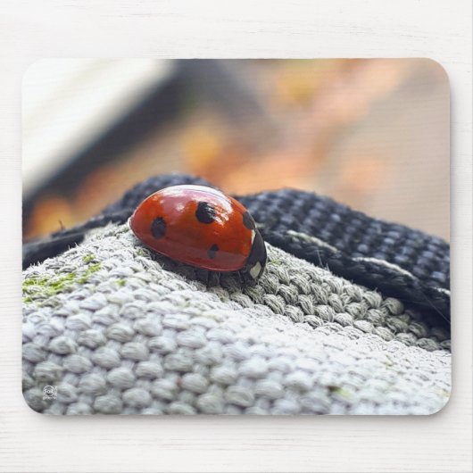 Lieveheersbeestje symbool tegen geweld. muismat (Voorkant)