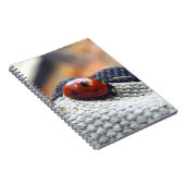 Lieveheersbeestje symbool tegen geweld. notitieboek (Rechterzijde)