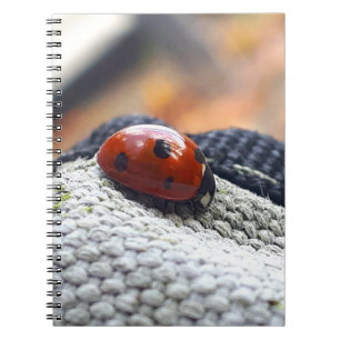 Lieveheersbeestje symbool tegen geweld. notitieboek