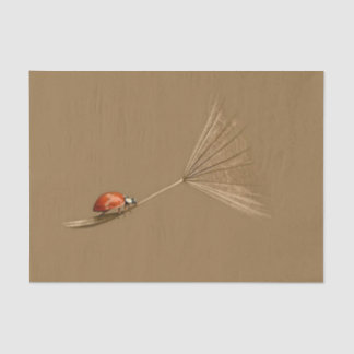 Lieveheersbeestje Tissuepapier