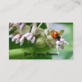 lieveheersbeestje wilde bloemen groen blad visitekaartje (Voorkant)