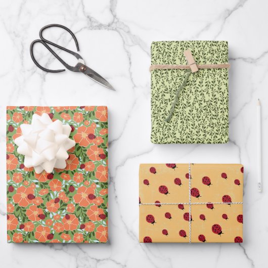 Lieveheersbeestje Zomer Bloemen Wrapping Papier Mu Inpakpapier Vel (Voorkant)