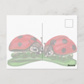 Lieveheersbeestjes briefkaart (Achterkant)