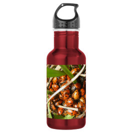 Lieveheersbeestjes (Coccinellidae) Waterfles