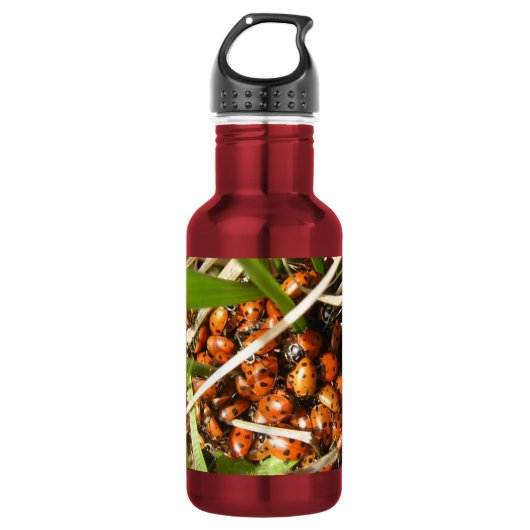 Lieveheersbeestjes (Coccinellidae) Waterfles (Voorkant)