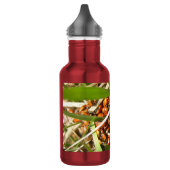 Lieveheersbeestjes (Coccinellidae) Waterfles (Links)