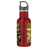 Lieveheersbeestjes (Coccinellidae) Waterfles (Achterkant)
