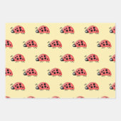 Lieveheersbeestjes geel en zwart stippen en vierka inpakpapier vel (Voorkant)