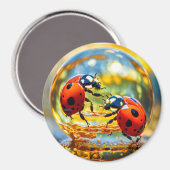Lieveheersbeestjes in een druppel water magneet (Voorkant / Achterkant)