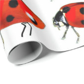 Lieveheersbeestjes inpakpapier (Rol Hoek)