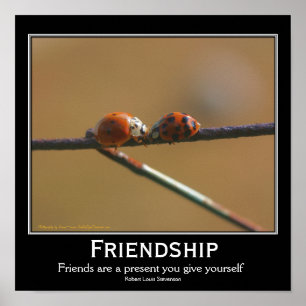 Lieveheersbeestjes Inspirerende Quote over Vriends Poster