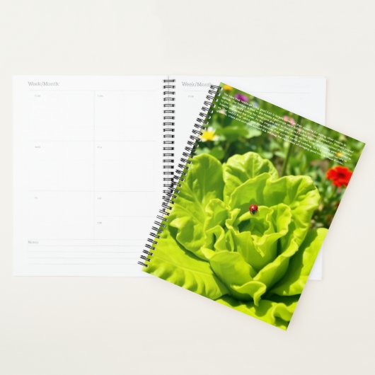 Lieveheersbeestjes Kalender Planner (Display)
