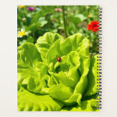 Lieveheersbeestjes Kalender Planner (Achterkant)