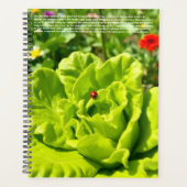 Lieveheersbeestjes Kalender Planner (Voorkant)