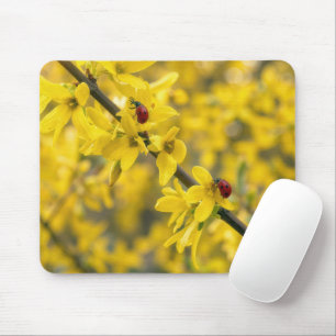 Lieveheersbeestjes op gele Forsythia tak Muismat