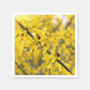 Lieveheersbeestjes op gele tak van Forsythia Servet