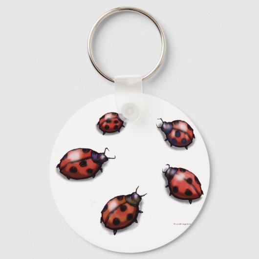 Lieveheersbeestjes Sleutelhanger (Voorkant)