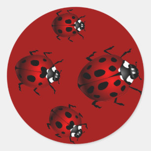 Lieveheersbeestjes Stickers Rode lieveheersbeestje