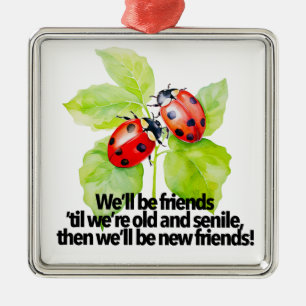 Lieveheersbeestjes vriendschapsquote grappige BFF  Metalen Ornament