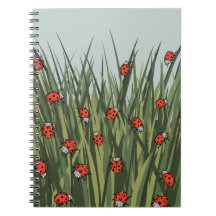 Lieveheersbeestjespatroon