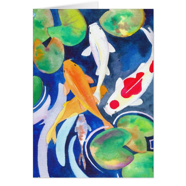 lievelvijver Koi (Voorkant)