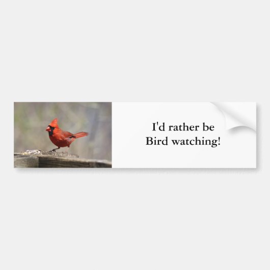 Liever vogel kijken bumper sticker (kardinaal) (Voorkant)
