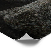 Lieverd Abbey - Schotland - Poster (Hoek)