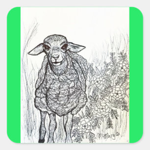 Lieverd schaap vierkante sticker