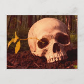 Life and Death Briefkaart (Voorkant)