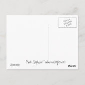 Life Aquatic Briefkaart (Achterkant)