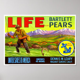 Life Brand Bartlett Pears Kratellabel Schmidt Lith Poster