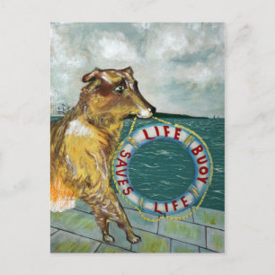 Life Buoy-zeep adverteren poster Briefkaart