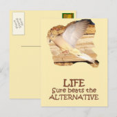 LIFE—Flying Dove Briefkaart (Voorkant / Achterkant)