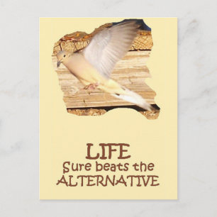 LIFE—Flying Dove Briefkaart