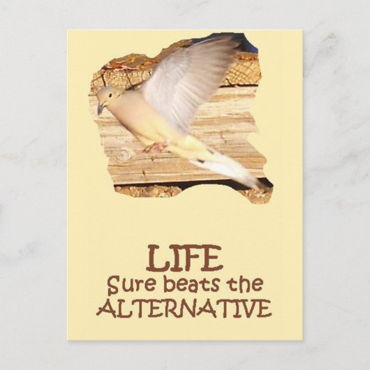 LIFE—Flying Dove Briefkaart (Voorkant)