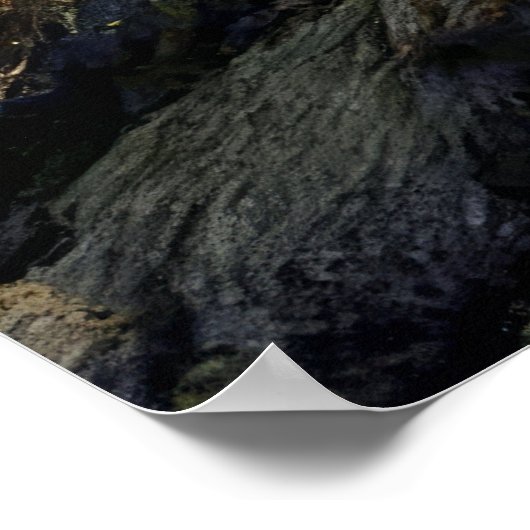 Life in the Valley of Giants Poster (Hoek)