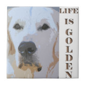 LIFE IS GOLDEN-TILE TEGELTJE (Voorkant)