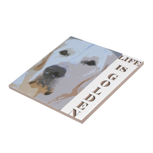 LIFE IS GOLDEN-TILE TEGELTJE (Zijkant)