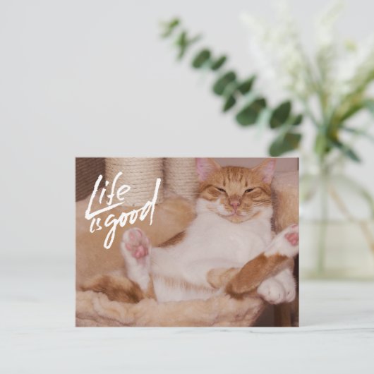 Life is Good Cute Funny Orange Cat  Briefkaart (Staand voorkant)